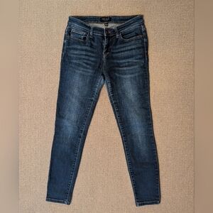 Judy Blue Classic Blue Skinny Jeans